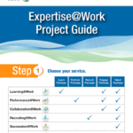 Infographic_ExpertiseAtWork_f6