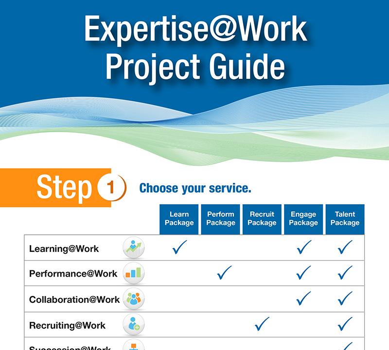 Infographic_ExpertiseAtWork_f6